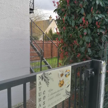 Natural Cosy Honfleur